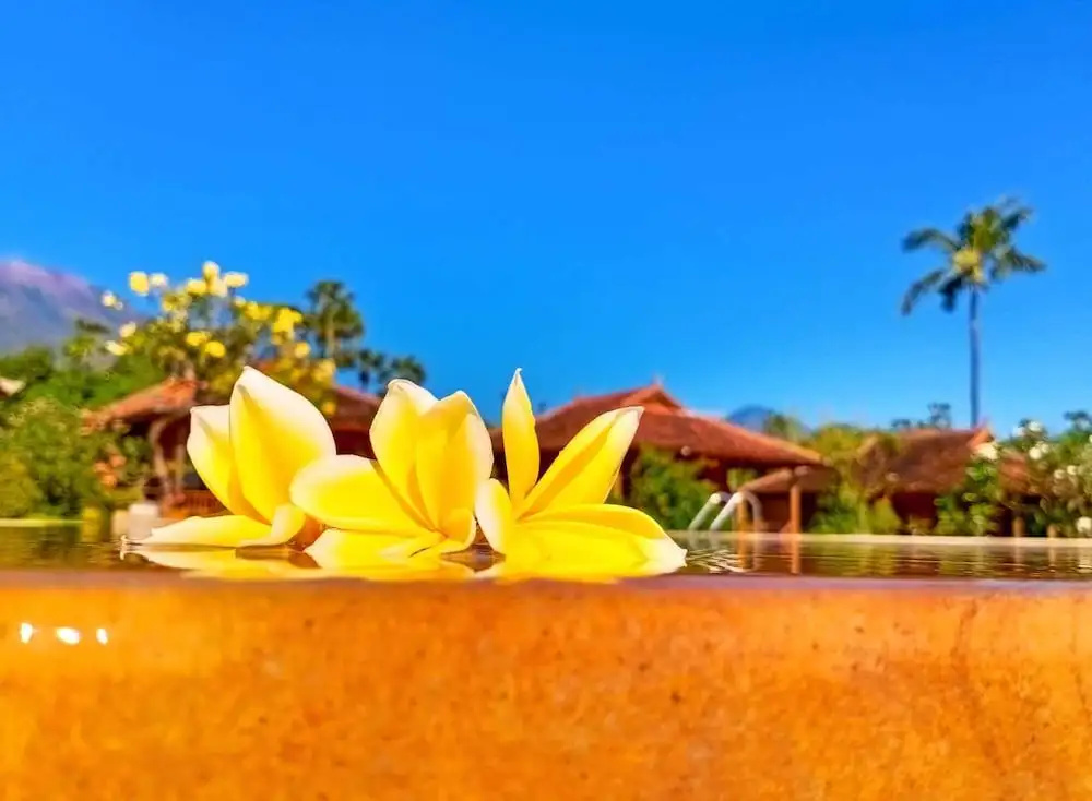ABWonderdive Beach Resort - фото 18