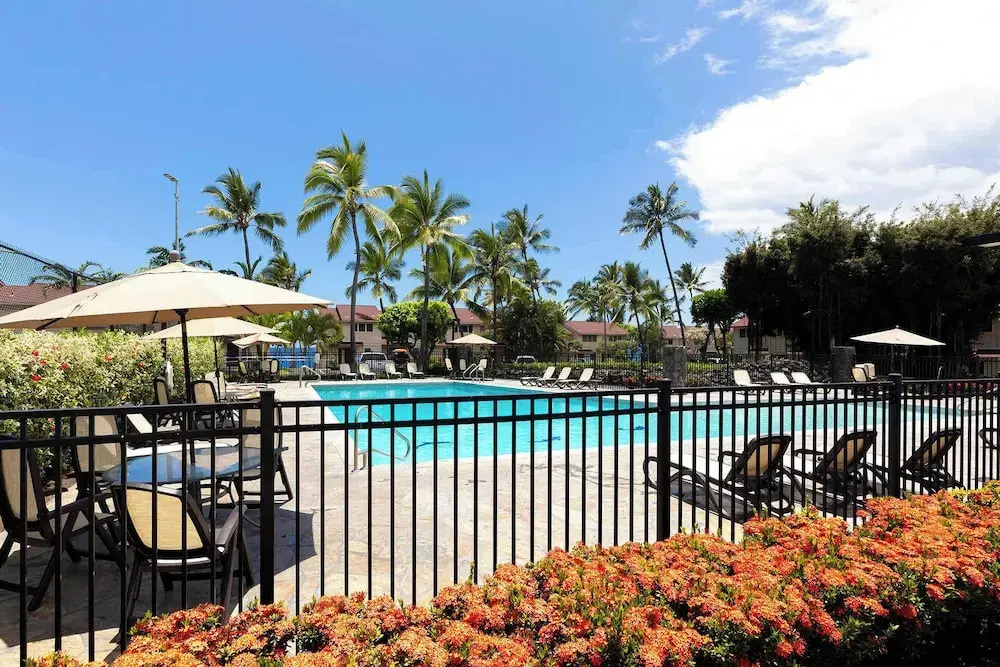 Plan Your Hawaii Vacay at Grace's Oasis!
