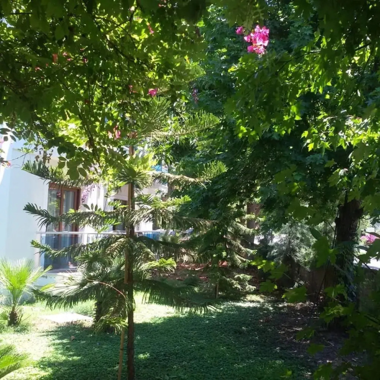 Hotel photo 50