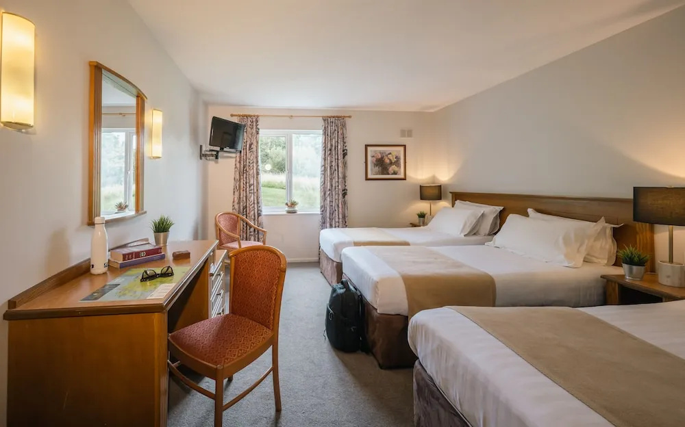Downhill Inn - Chambres