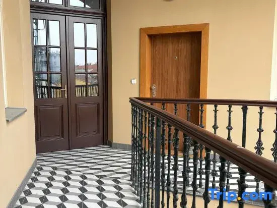 Studio apartment in Viktoria Zizkov