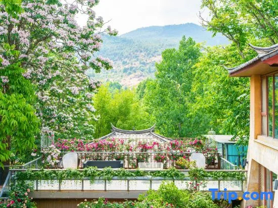 Balcony & Terrace