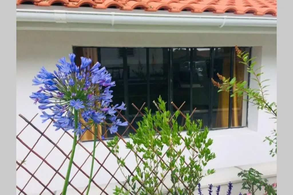 L'annexe des Cigales, à l'ombre des chênes lièges
