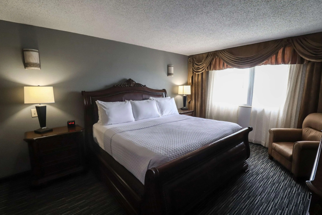 Wyndham Houston near NRG Park/Medical Center - Général
