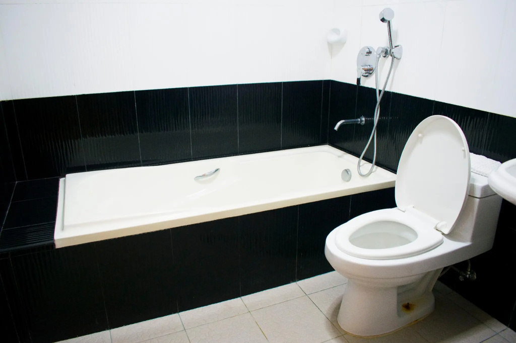 Deluxe Double room (full double bed)