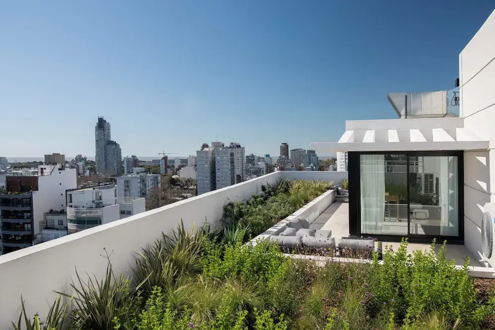Top Rentals Nuñez