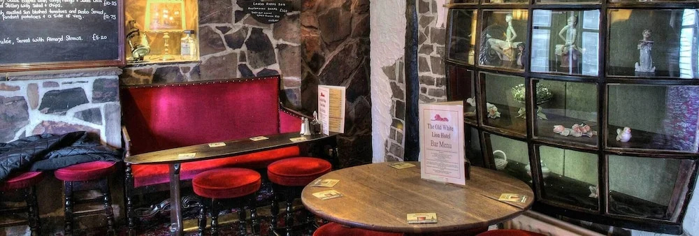 The Old White Lion Hotel - Général