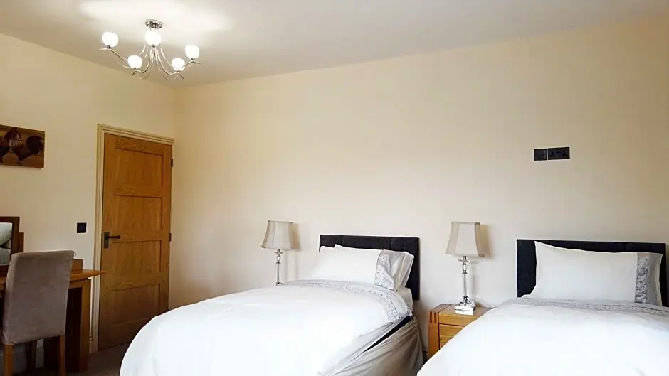 Deluxe Double room (twin beds)