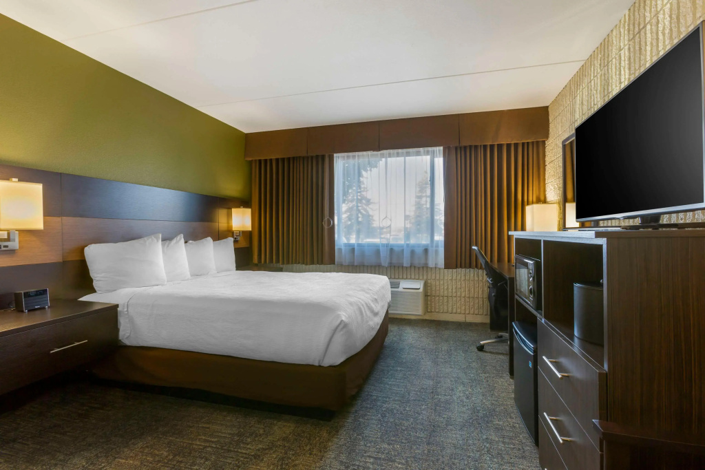 Best Western Plus University Inn - фото 6