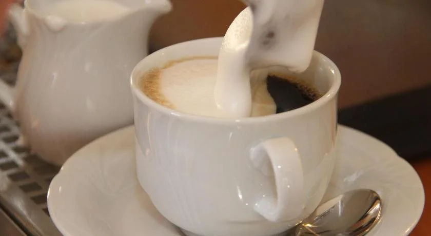 Simon - Hotel & Café - Général
