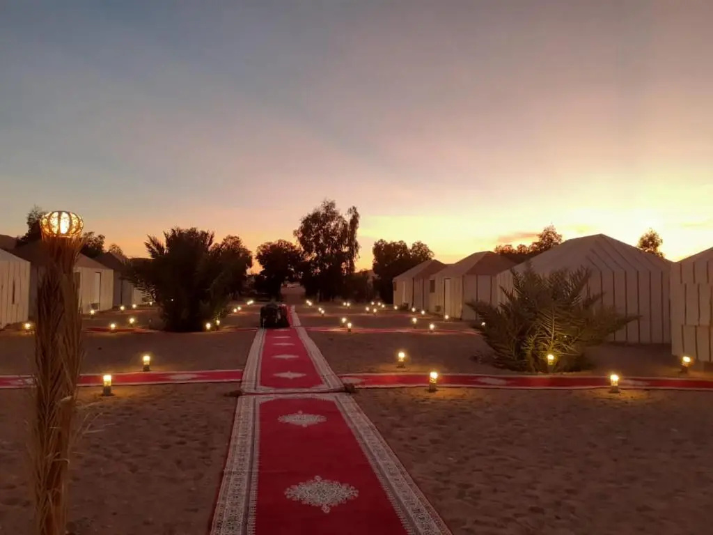 Sahara Shooting Stars Camp