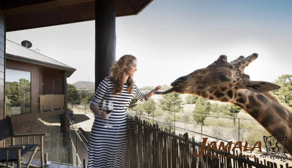 Jamala Wildlife Lodge - Général
