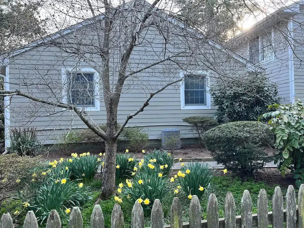 OAK Avenue 33