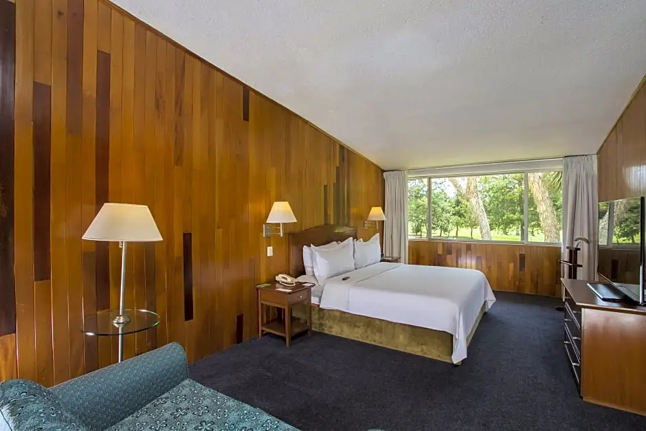 Double Junior Suite (full double bed)