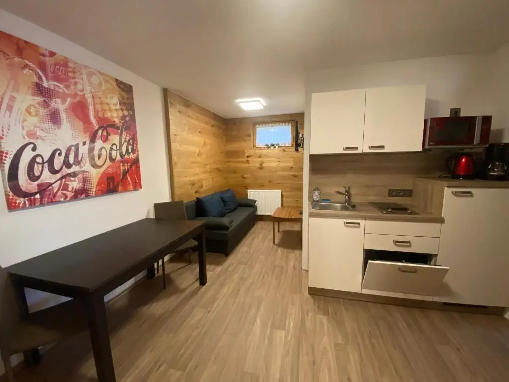 Basement Apartment