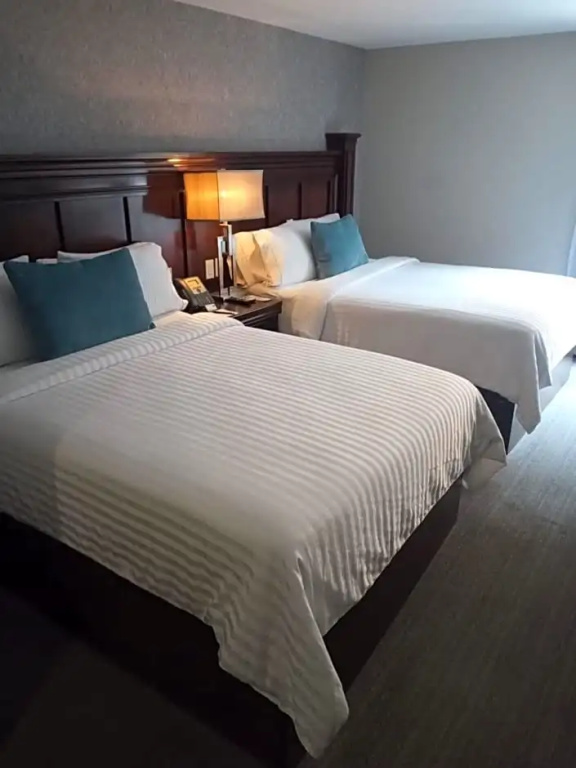 Gran Hotel Concordia San Luis Potosí - Chambres