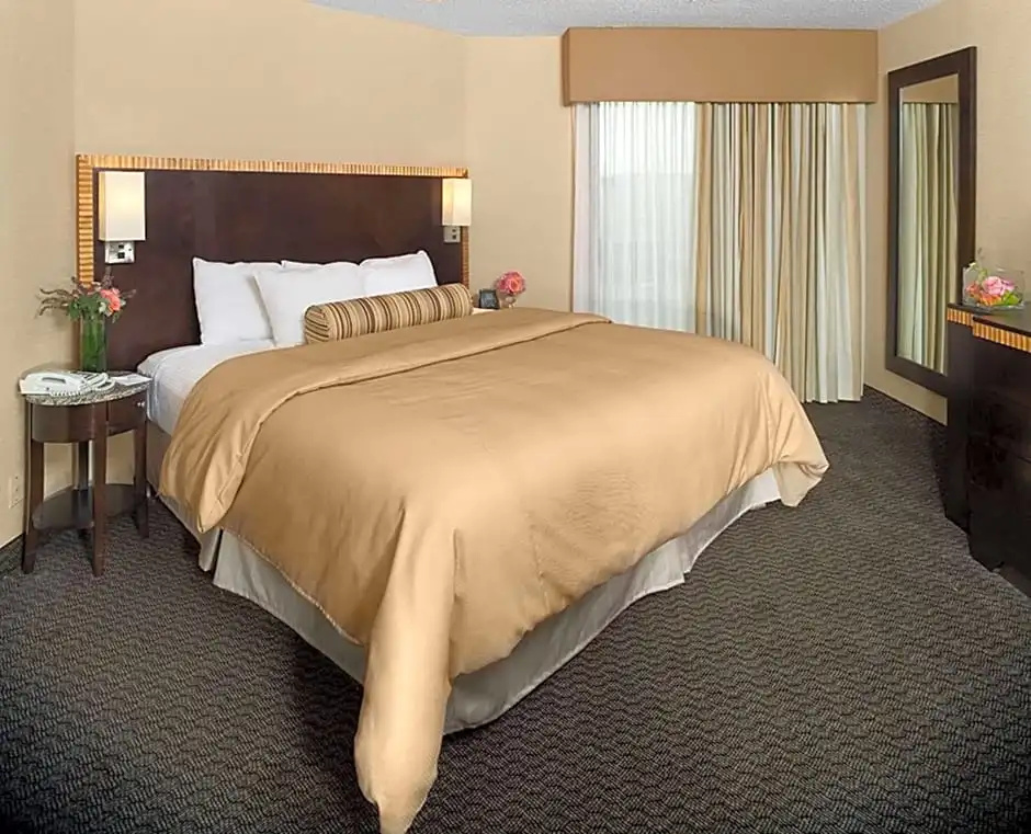 Embassy Suites Hotel Birmingham - Chambres