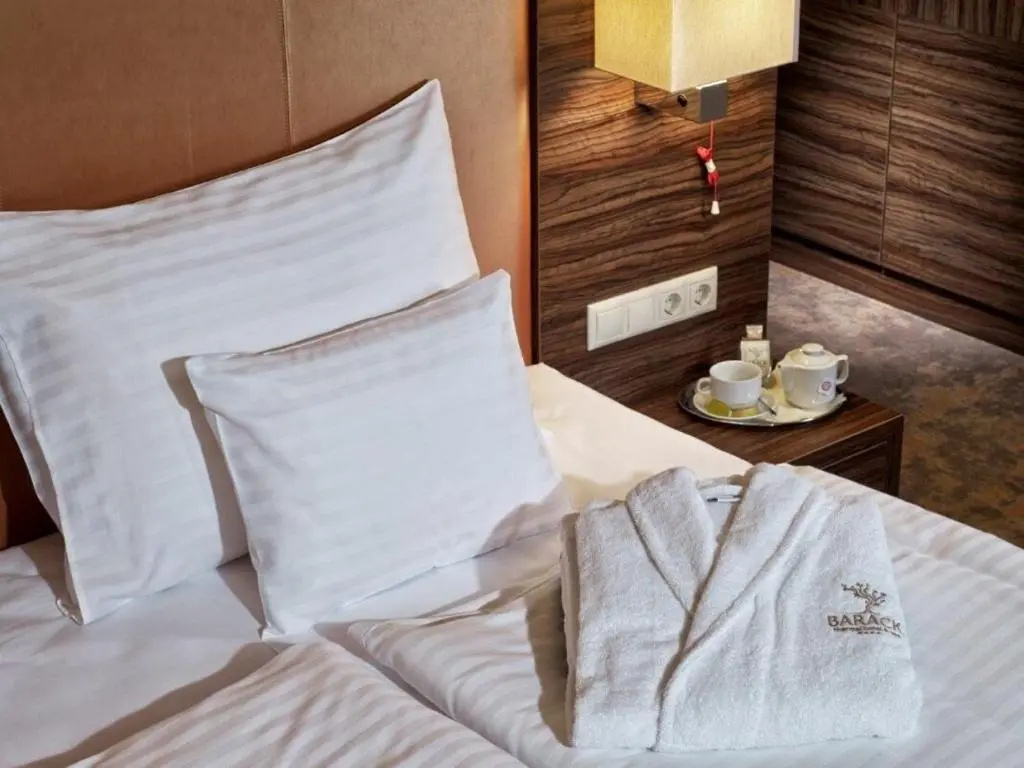 Barack Thermal Hotel and Spa - Chambres