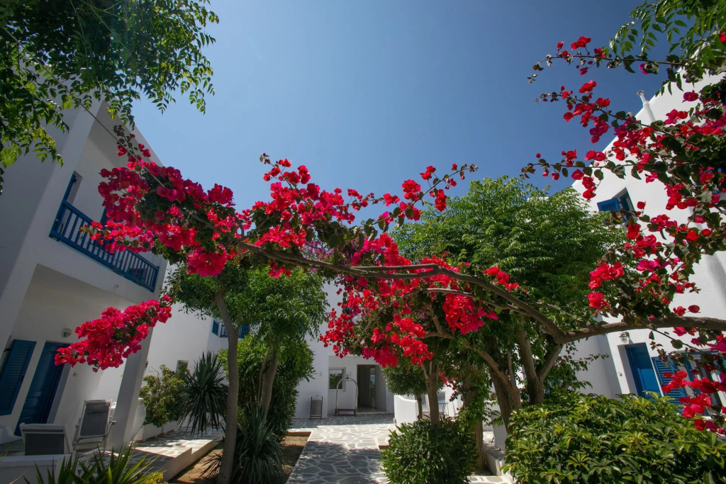 Acrogiali Beach Hotel Mykonos - Général