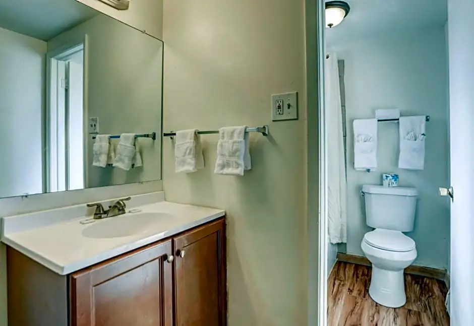 Homewood Suites by Hilton Brighton - Chambres