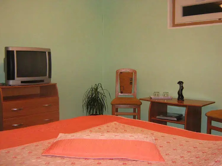 Pension Casa Dan - фото 5