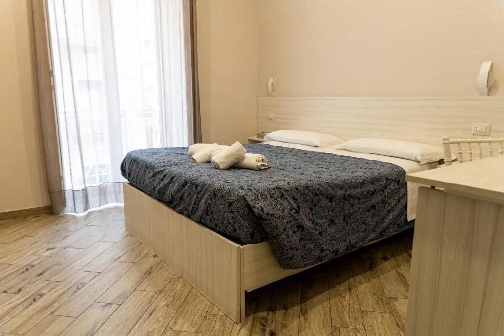 Deluxe Double room (full double bed)
