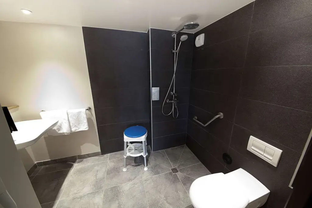Hotel Campanile Clermont Ferrand Sud - Aubière - Général