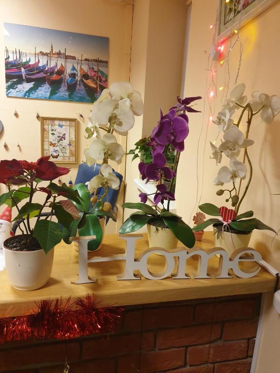 Кровать в общем номере в Hostel POPLAWOK