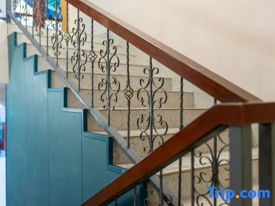 Balcony & Terrace