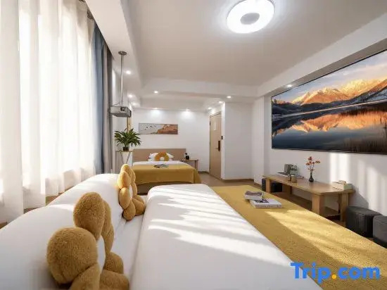Standard Double room (twin beds)