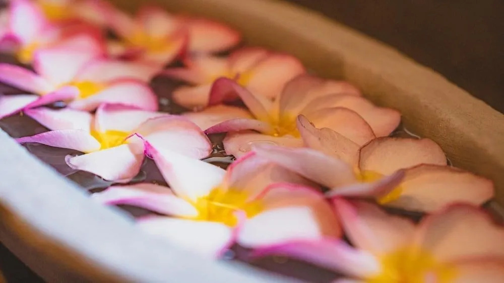 Ayur Ayur Ayurveda Retreat - фото 13