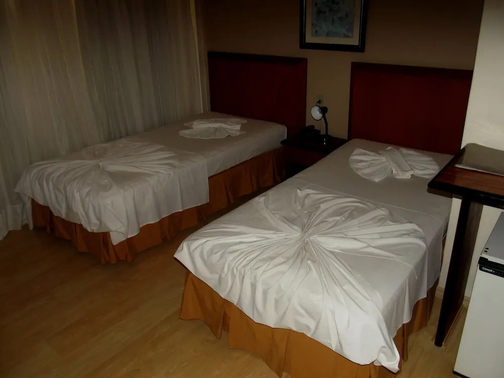 Geneviee Palace Hotel - Chambres