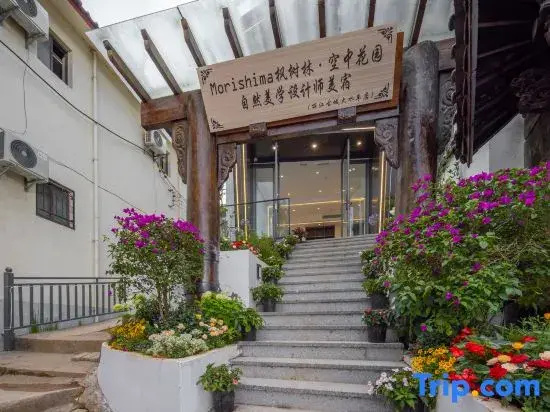 Morishima Maple Grove · Sky Garden Natural Aesthetics Designer Meisu