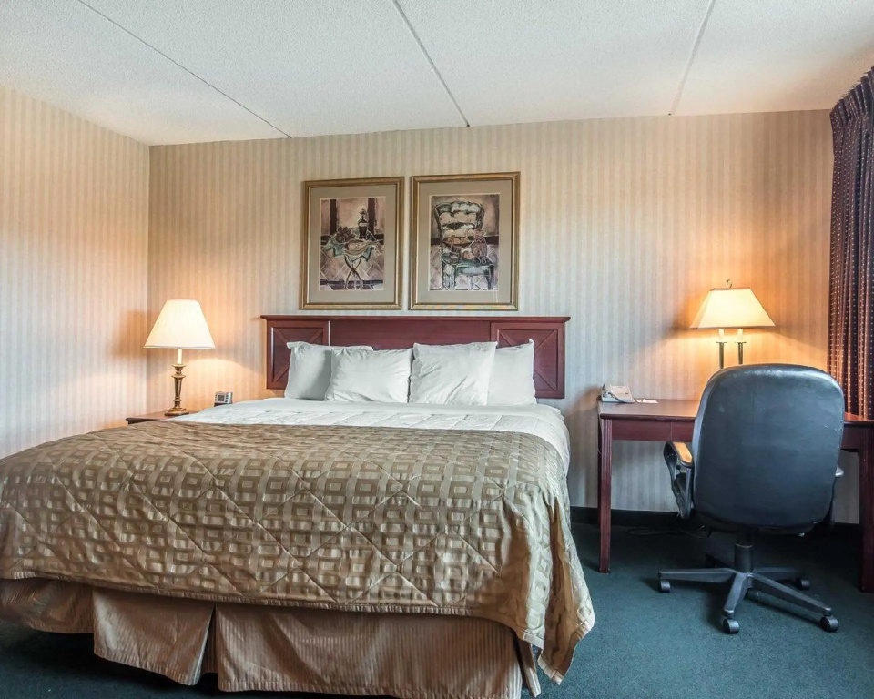 1 Bedroom Suite