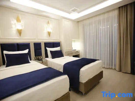 Deluxe Double room (twin beds)