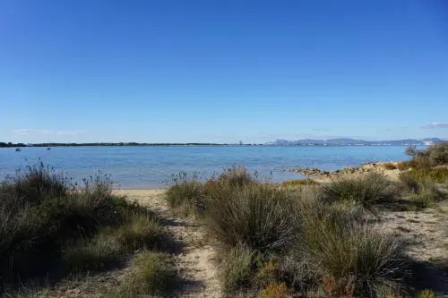 Beach & Waterfront