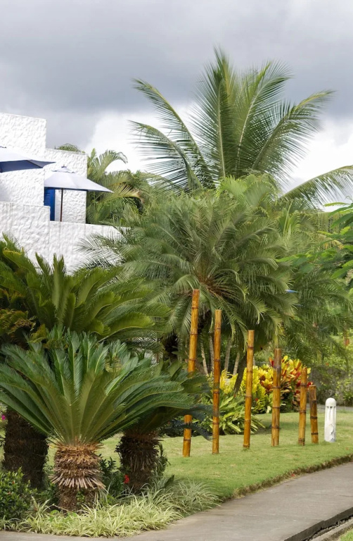 Green9 Hotel & Beach Resort Same - Chambres