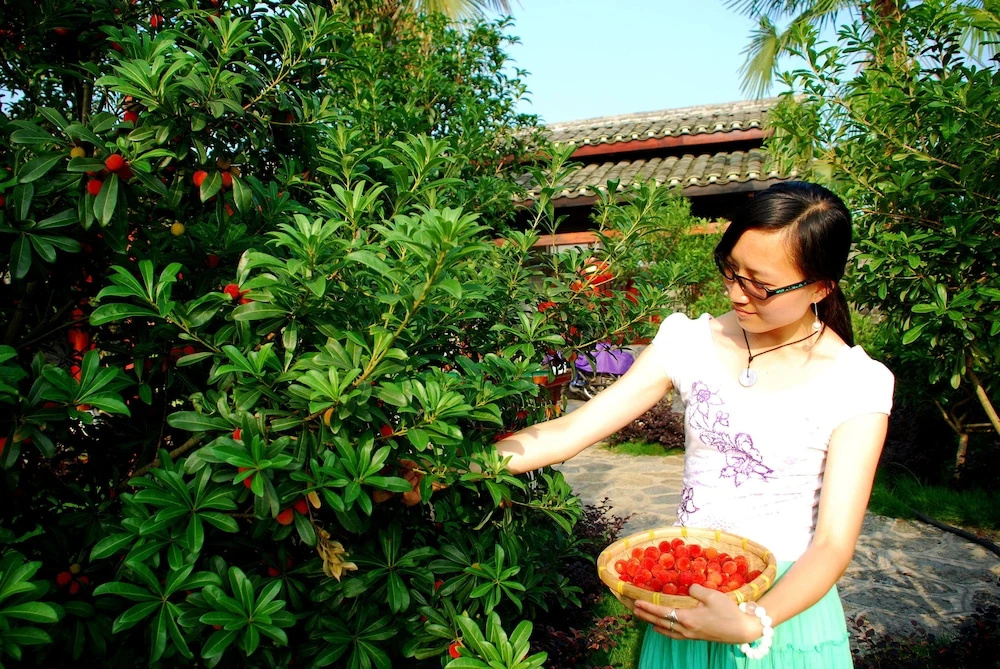Yangshuo Dongling Resort - Général