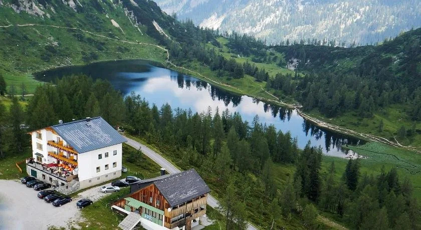 Alpenrose