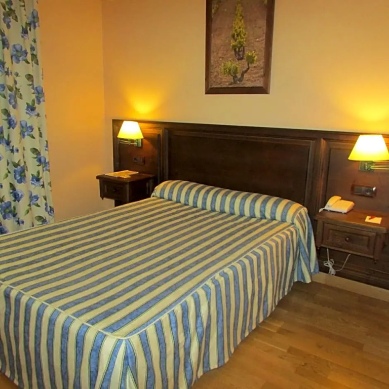 Hotel Spa Tudanca Aranda - Chambres