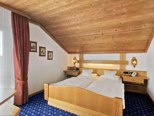 Hotel Alpina - Général