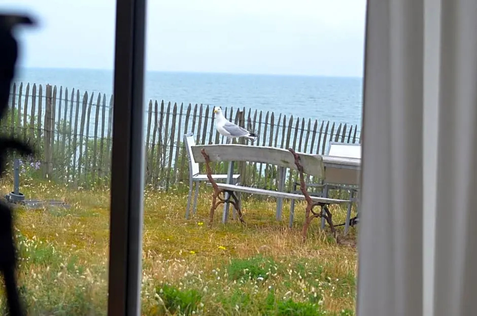 Balcony & Terrace