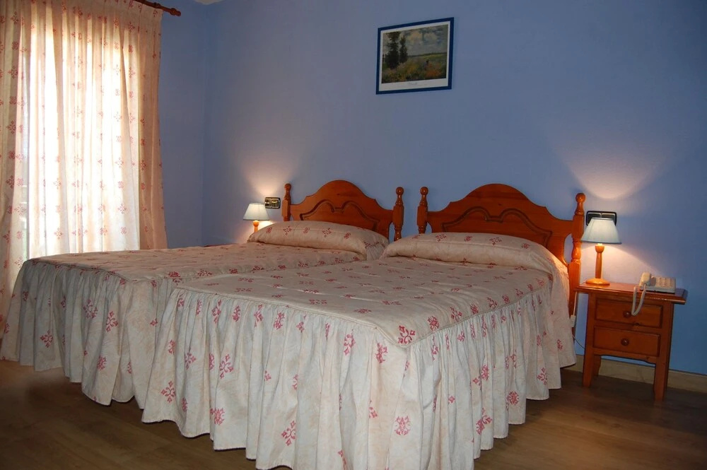 Standard Double room (twin beds)