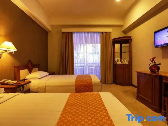 Deluxe Double room (twin beds)