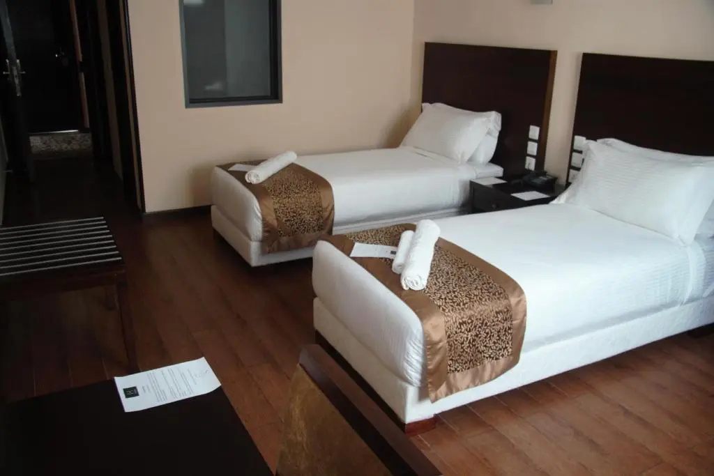 Central Hotel Tana - Chambres
