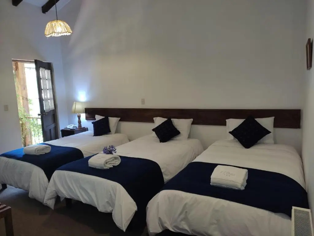 Hotel El Patio de Monterrey - Chambres