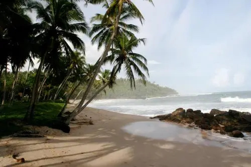 Beach & Waterfront