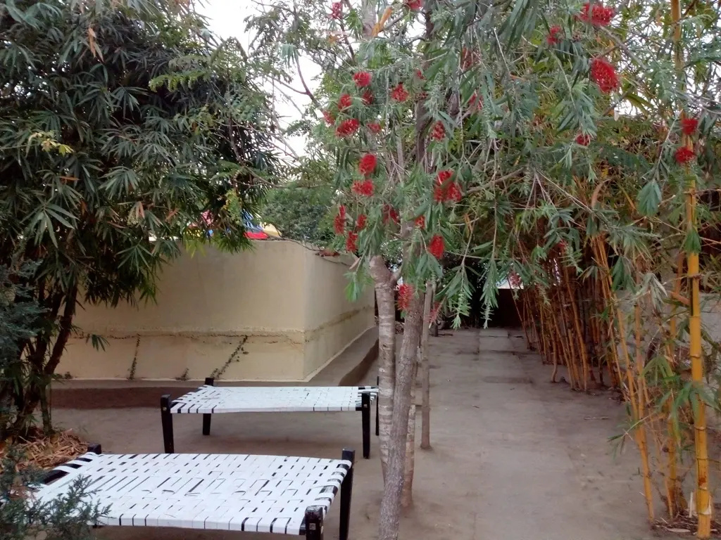 Grand Tiger Resort - Général