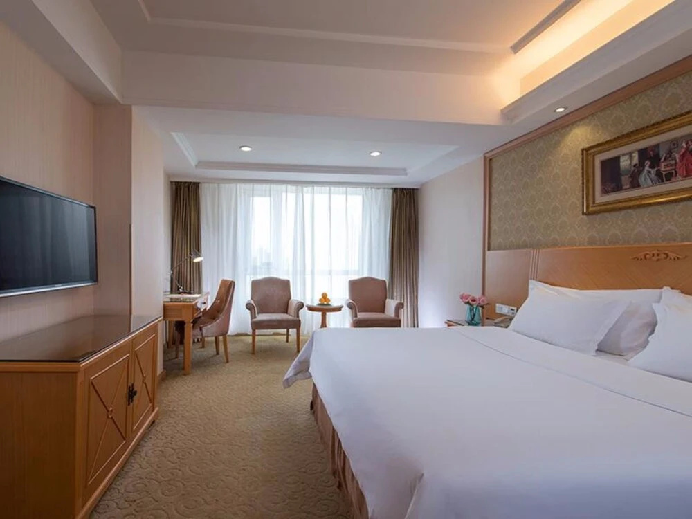 Vienna International Hotel Shenyang Railway Station Branch - Général