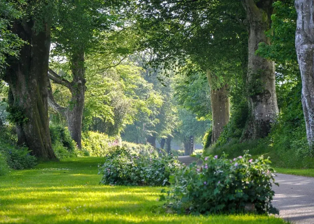 Woodovis Park - Général